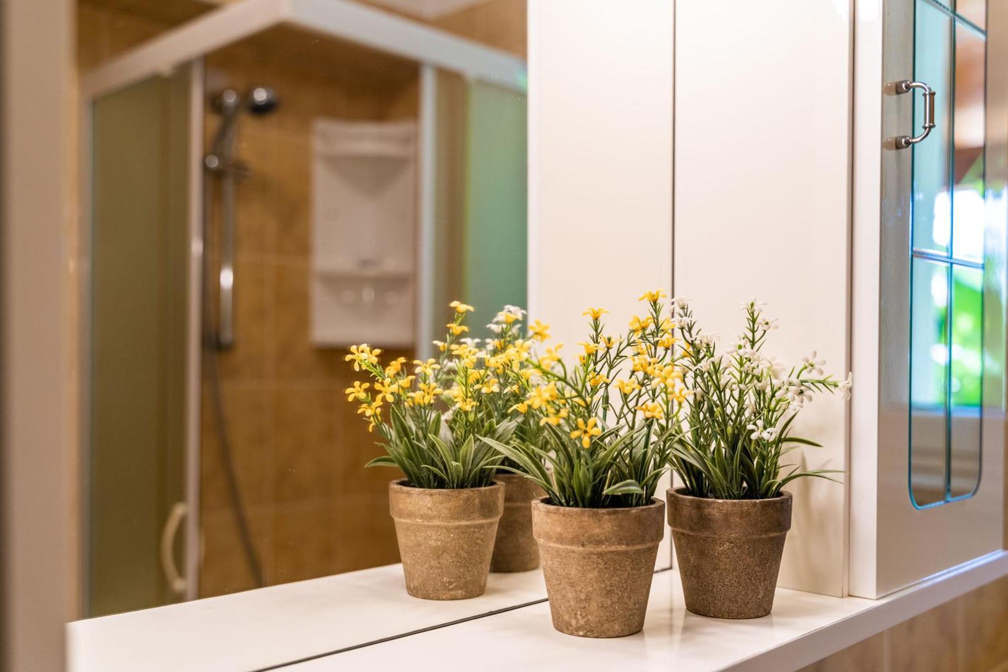 Apartments & Room Frane Dubrovnik Szoba fotó